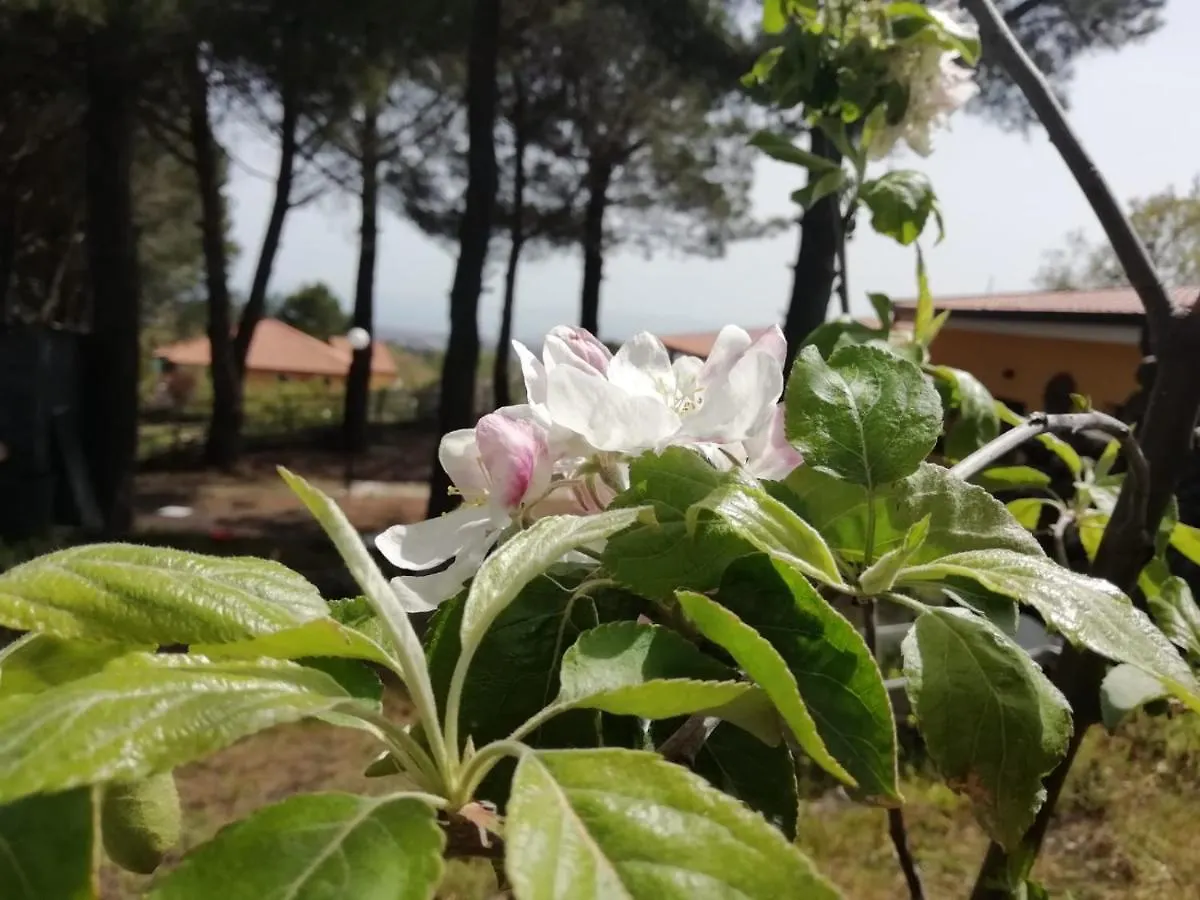 Frühstückspension Etna Country Home Nicolosi